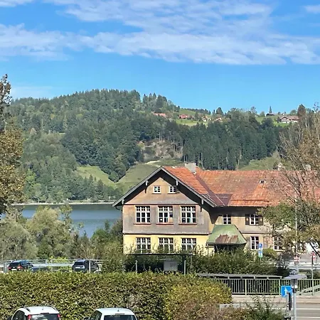 Mews * Immenstadt im Allgaeu