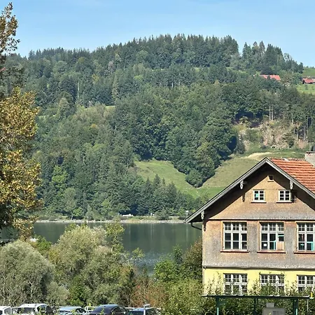 Mews * Immenstadt im Allgäu